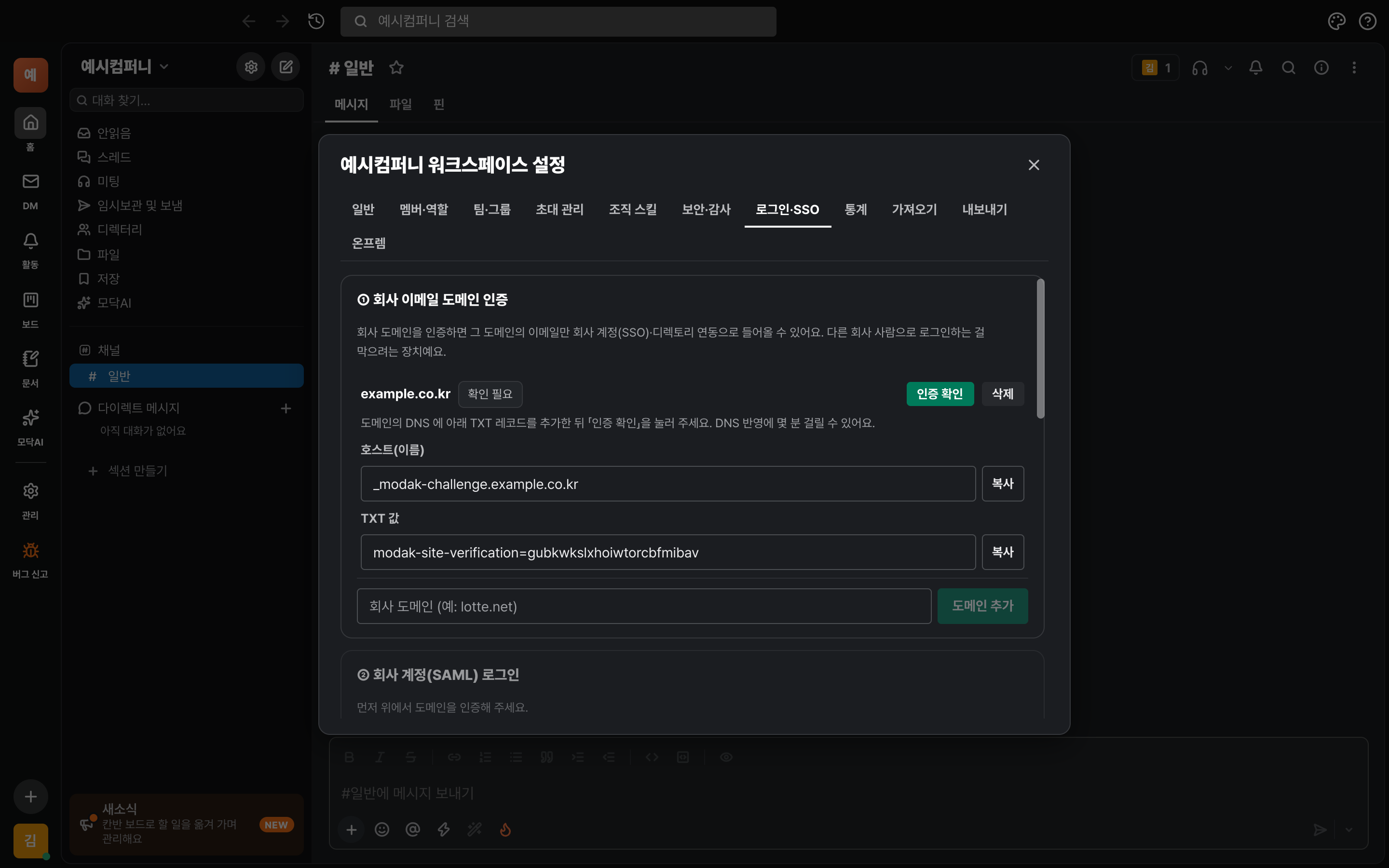 도메인을 추가하면 호스트와 TXT 값이 나타나는 화면